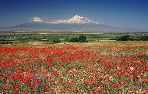 Гора Арарат весной